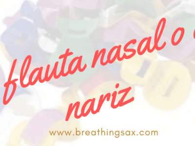 Flauta de nariz o nasal
